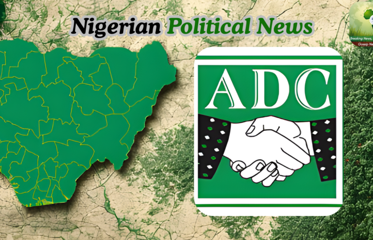 Adamolekun Rejects ADC Committee Appointment Says Process Lacks Credibility -Gossip News Now