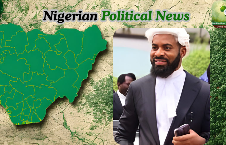 Adeyanju Slams Governors Over Pardons to Terrorists Says They Lack Constitutional Authority - Gossip News Now