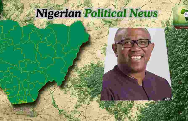 Peter Obi Warns Against Election Manipulation,