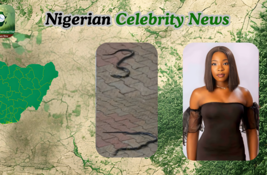 Nigerian Music Community Mourns as Singer Dies from Snake Bite - Gossip News Now