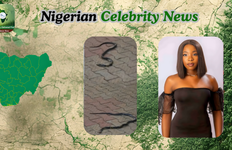 Nigerian Music Community Mourns as Singer Dies from Snake Bite - Gossip News Now
