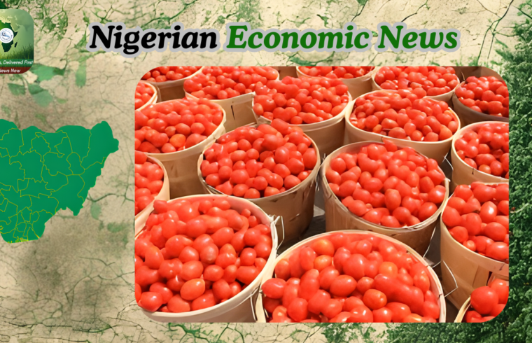 Ramadan 2026, Tomato Prices