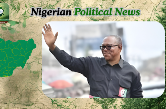 Obidient Movement , Peter Obi