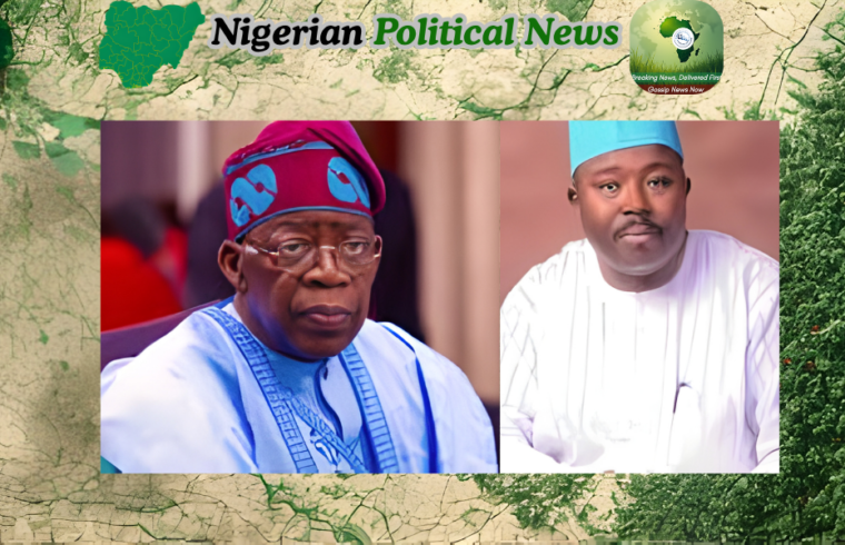 Sharafadeen Alli , Tinubu