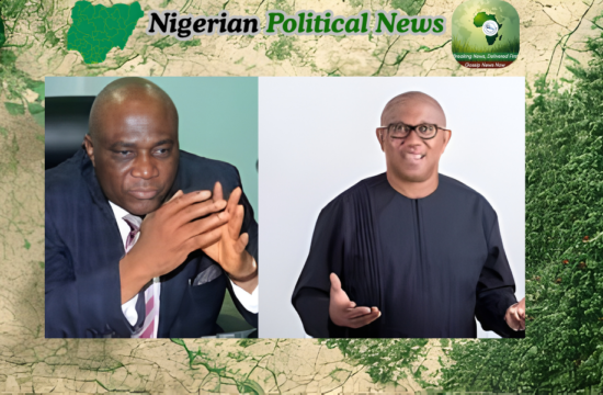 Bayo Onanuga , Peter Obi