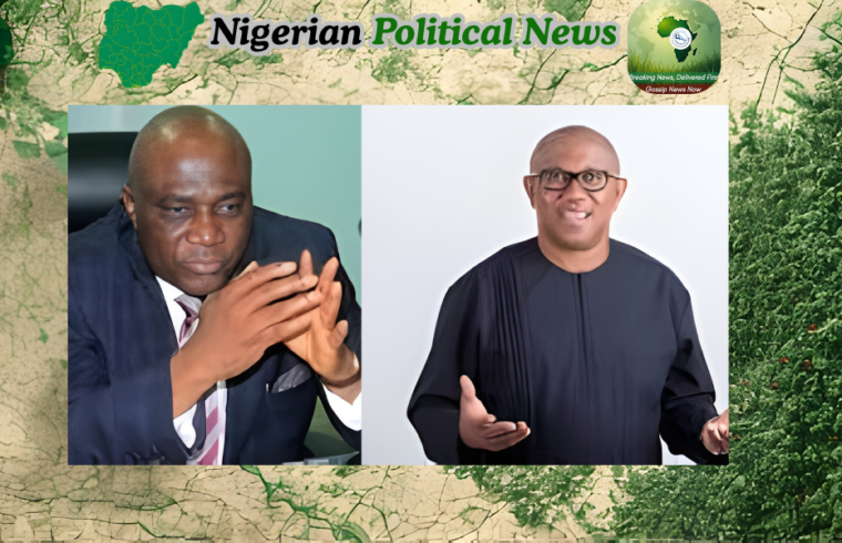 Bayo Onanuga , Peter Obi