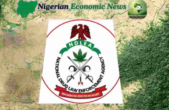 NDLEA Intercepts