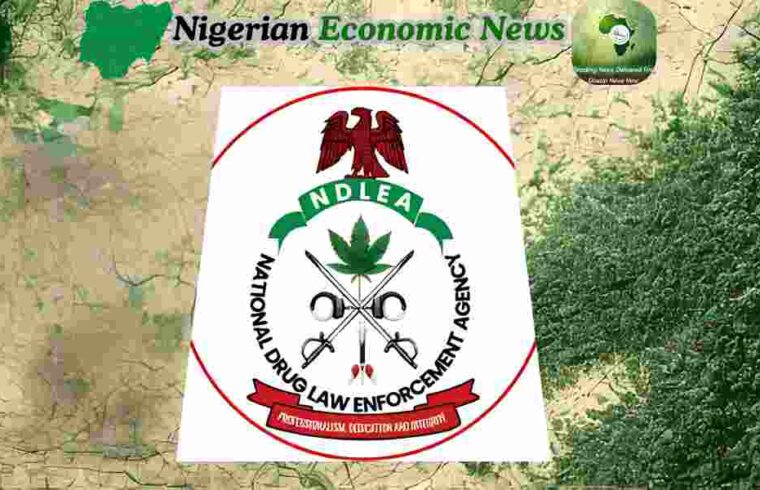 NDLEA Intercepts