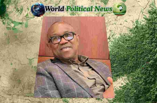 2027 Election: Peter Obi’s Aide Rejects Ali Modu Sheriff’s Claims Over Northern Votes