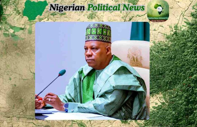 Vice President Kashim Shettima