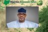 Dapo Abiodun
